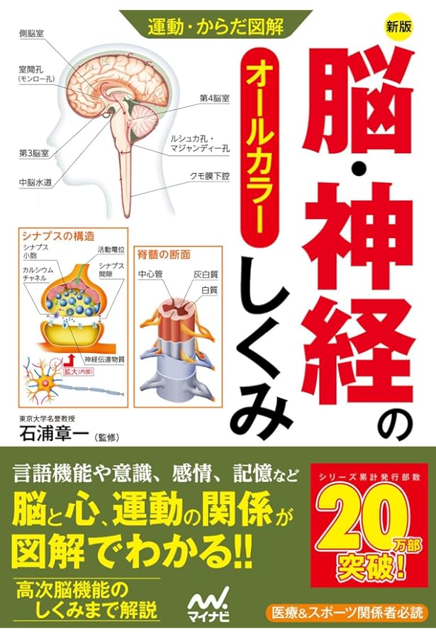 Amazon.co.jp: 運動・からだ図解 脳・神経のしくみ : 石浦 章一: 本